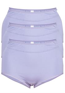 plus size full brief panties